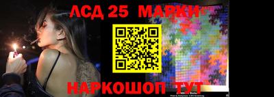 гидропоника Кингисепп