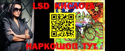 гидропоника Кингисепп