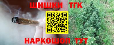 гидропоника Кингисепп