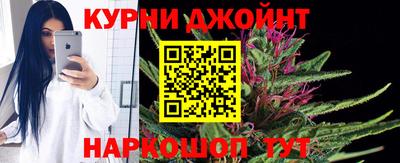 гидропоника Кингисепп