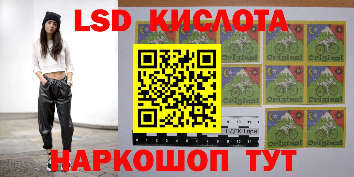 МЕФ Калининград