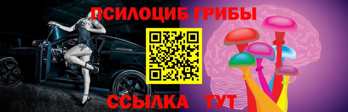 Галлюциногенные грибы мухоморы  Галлюциногенные грибы Cubensis  цена   Вход с VPN  Калининград 